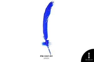 PLUMA PAVO ALA REF: 10""-12"" AZUL REY/UNIDAD