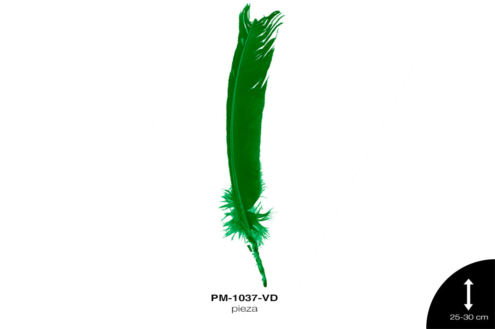 PLUMA PAVO ALA REF: 10""-12"" VERDE/UNIDAD