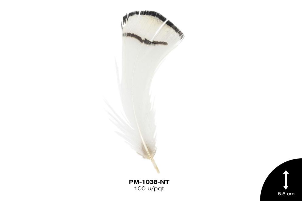 Pluma 6.5cm REF: PB-3 NATURAL 100 u/pqt