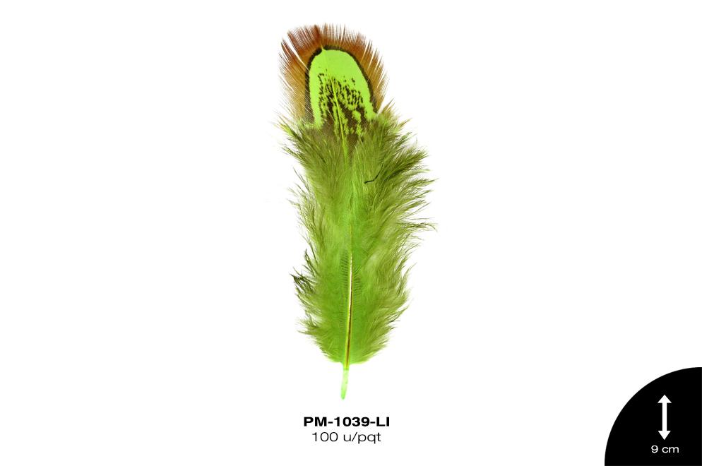 Pluma 9cm REF: PB-2 LIMON 100 u/pqt