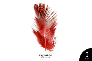 Pluma 9cm REF: PB-2 ROJO 100 u/pqt